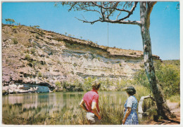 WESTERN AUSTRALIA WA Cliff Caravan Park ELLENDALE POOL Engelander WA102 Postcard C1960s - Geraldton