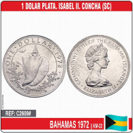 C2609# Bahamas 1972. 1 Dólar. Isabel II. Concha (SC) KM-22 - Bahama's