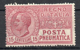 Italie YT Pneumatique 12 Neuf Avec Charnière X MH - Pneumatic Mail