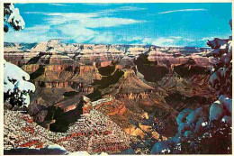 Etats Unis - Grand Canyon - Grand Canyon National Park - CPM - Voir Scans Recto-Verso - Gran Cañon