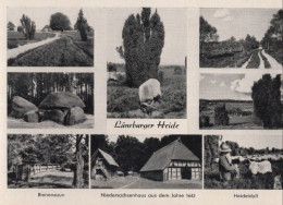 126847 - Lüneburger Heide - 8 Bilder - Lüneburger Heide