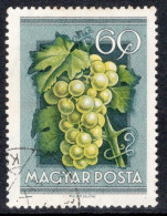 Hungary 1954 Single Stamp Celebrating National Agricultural Fair In Fine Used - Used Stamps