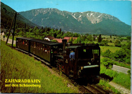 49142 - Niederösterreich - Schneeberg , Zahnradbahn Auf Den Schneeberg , Puchberg - Gelaufen 1983 - Schneeberggebiet