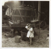 Robert DOISNEAU - 1947 - Le Jus De Pomme à Saint-Sauvant - Doisneau