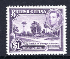 British Guiana 1938-52 KGVI Pictorials - $1 Botanical Gardens - P.12½ HM (SG 317) - Guyana Britannica (...-1966)