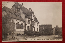 CPA Rétrécit   -  Molsheim - Tribunal Cantonnal - Molsheim