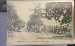 Varades (Loire-Inf.) - Préventorium Du Coteau - Allée Des Sapins - Varades