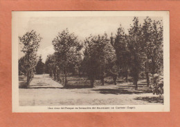 GUITIRIZ - ESPAGNE - GALICIA - LUGO - AGUAS Y BANOS - UNA VISTA DEL PARQUE EN FORMACION DEL BALNEARIO - NEUVE - Lugo