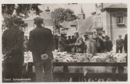 4893362Texel, Schapenmarkt. (FOTOKAART)  - Texel