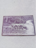 ANTIQUE POSTCARD SÃO TOME E PRINCIPE ROÇA COLONIA AÇORIANA - ENTRADA DO GADO PARA O BANHO UNUSED - Sao Tome Et Principe