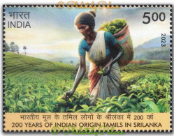 India 2023,Tea, Plucking, Drink, Food,Woman, 200th Years Of Indian Origin Tamils In Sri Lanka, 1v MNH (**) Inde Indien - Unused Stamps