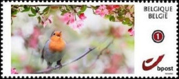 DUOSTAMP** / MYSTAMP** - Rouge Gorge / Roodborstje / Rote Kehle / Red Throat / Erithacus Rubecula - Mint
