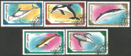 620 Mongolie Baleines Whales Cachalots Balena Capodoglio Ballena Wal Pottwal Dauphins Dolphins Delphin (MNG-76) - Wale