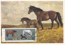 Carte Maximum Hongrie Hungary Cheval Horse 1315 - Maximum Cards & Covers