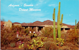 Arizona Sonora Desert Museum Tucson Mountain Park AZ Unused Vintage Postcard Z2 - Tucson