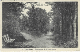 TROIS-PONTS : Promenade De Rustonvenne - Trois-Ponts