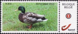 DUOSTAMP/MYSTAMP** - Timbre D'été / Zomer Zegel - Canard Colvert / Wilde Eend - MPO Mechelse PZK Opsinjoor - Neufs