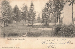 BELGIQUE - Environs De Louvain - Eaux Douces (Paysage) - Vue D'ensemble - De La Forêt - Carte Postale Ancienne - Ottignies-Louvain-la-Neuve