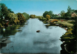 93 - Gournay Sur Marne - La Marne - CPM - Voir Scans Recto-Verso - Gournay Sur Marne