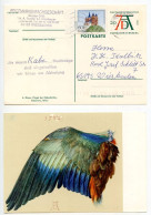 Germany 1996 Uprated 20pf. Albrecht Dürer Postal Card - Bird's Wing; Wiesbaden Cancel - Illustrated Postcards - Used