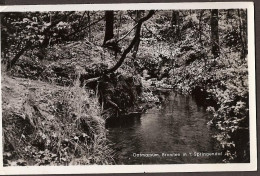 Ootmarsum, Bronnen In 't Springendal - Rond 1960 - Ootmarsum