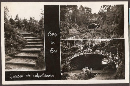 Apeldoorn - Berg En Bos  - Apeldoorn