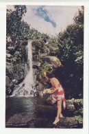 CP ETATS UNIS Hawaiian Waterfall Native - Big Island Of Hawaii