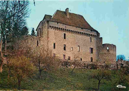 23 - Pontarion - Le Château - CPM - Voir Scans Recto-Verso - Pontarion