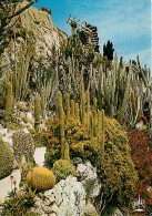 Fleurs - Plantes - Cactus - Principauté De Monaco - Le Jardin Exotique - CPM - Voir Scans Recto-Verso - Cactus