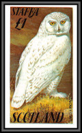 80827 Staffa Scotland TB Neuf ** MNH Oiseaux Birds Bird Snowy Owl Harfang Des Neiges Chouette - Scotland