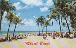 AK 209379 USA - Florida - Miami Beach - Miami Beach