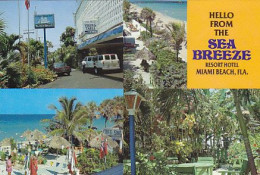 AK 209383 USA - Florida - Miami Beach - Sea Breeze Resort Hotel - Miami Beach