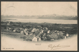 Carte P De 1901 ( Gilly ) - Gilly