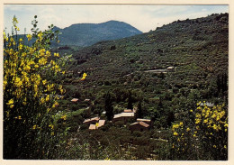 26 - M56887CPM - BUIS LES BARONNIES - Maison Familiale Fontaine D'annibal - Très Bon état - DROME - Buis-les-Baronnies