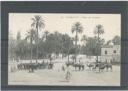 ALGÉRIE - LAGHOUAT - PLACE DU CHAMEAU - Laghouat