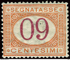 Segnatasse Cent. 60 Cifre Capovolte - Francobollo Naturale Con Valore Facciale Centesimi 09 - Mint/hinged