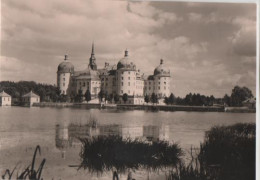 19803 - Jagdschloss Moritzburg - Ca. 1965 - Moritzburg