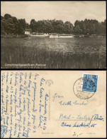 Altbuchhorst-Grünheide (Mark) Partie See 1955  Stempel "Grünheide über Erkner" - Gruenheide