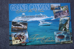 British West Indies:Cayman Islands, Grand Cayman / Cruise Ship / Turtle - Cayman Islands