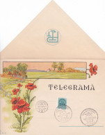 VERY RARE TELEGRAMME,POPPY FLOWERS,COVERS,LX11, ROMANIA - Télégraphes