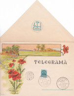 VERY RARE TELEGRAMME,POPPY FLOWERS,COVERS,LX11, ROMANIA - Telégrafos