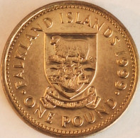 Falkland Islands - Pound 1999, KM# 24 (#3872) - Falklandeilanden