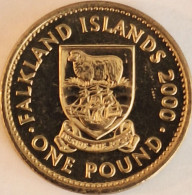 Falkland Islands - Pound 2000, KM# 24 (#3873) - Falklandeilanden