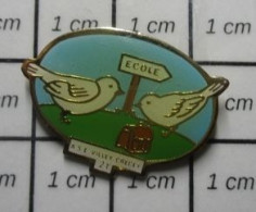 211c Pin's Pins / Beau Et Rare / ADMINISTRATIONS / ECOLE VILLEY CRECEY OISEAUX MOINEAU CARTABLE - Administraties