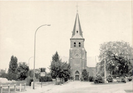 BELGIQUE - Halen Loksbergen - St Andreaskerk - Carte Postale - Halen