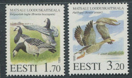 Estonia:Unused Stamps Matsalu Nature Park, Birds, Geese, 1995, MNH - Albatros