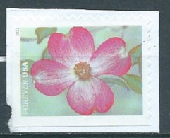 VEREINIGTE STAATEN ETATS UNIS USA 2021 GARDEN FLOWERS: PINK DOGWOOD F USED ON PAPER SC 5558 MI 5791 YT 5400 - Gebraucht