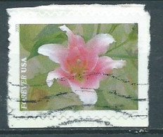 VEREINIGTE STAATEN ETATS UNIS USA 2021 GARDEN FLOWERS: ASIATIC LILY F USED ON PAPER SN 5565 MI 5798 YT 5407 - Used Stamps