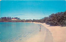 Antilles - Iles Vierges Américaines - U S Virgin Islands - Beautiful Beaches Unlimited - This One Is Caneel Bay, St. Joh - Vierges (Iles), Amér.