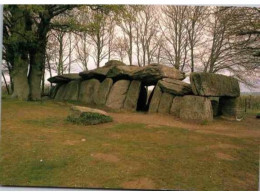 ESSE. -  Monument Mégalithique De La Roche Aux Fées - Dolmen Portique - Other & Unclassified